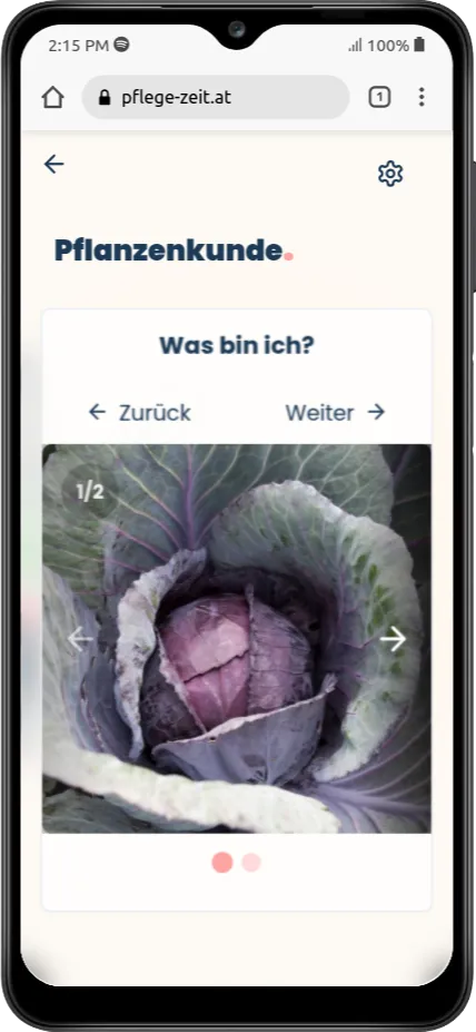 Bilderrätsel 