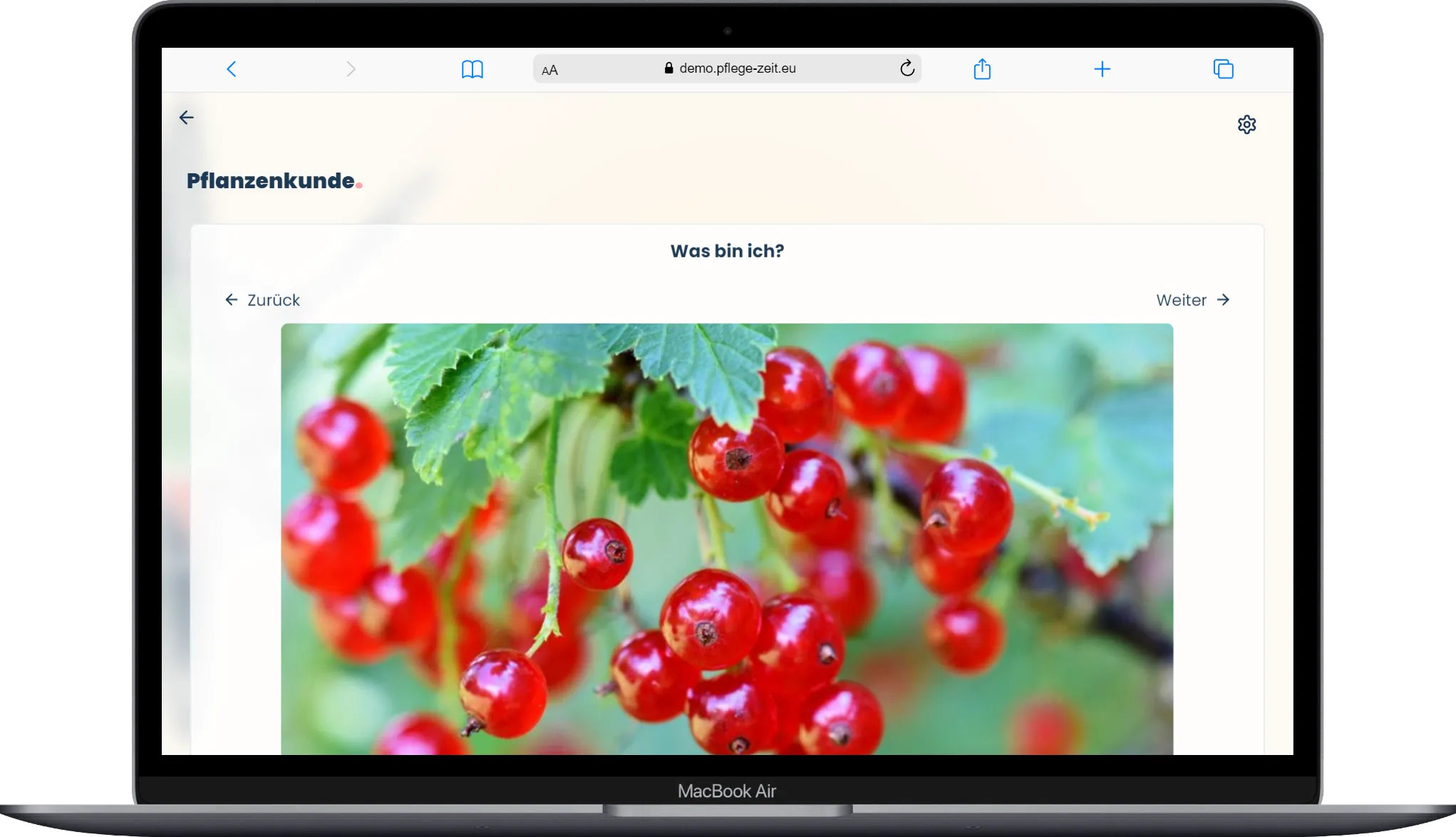 PflegeZeit auf einem Laptop
